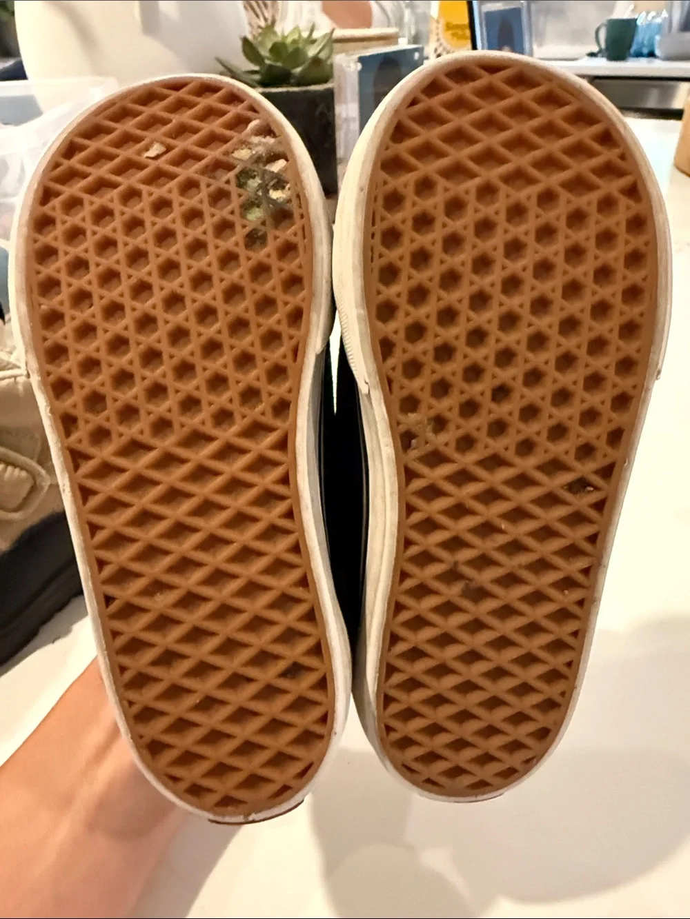 Vans easy off